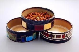 新手养猫第一天猫咪害怕怎么办,新手铲屎官养猫知识