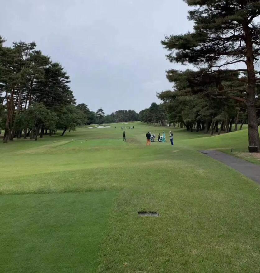 游记｜来自香港、上海、深圳的7位贵宾：挥杆关东世界百佳...