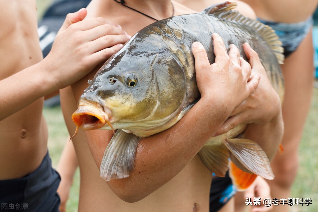 海南一男子钓鱼,海口男子钓鱼钓出两枚手榴弹