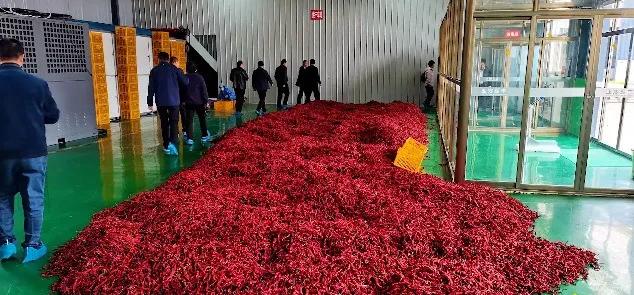 甘肃人爱吃盐,甘肃人喜欢吃辣吗