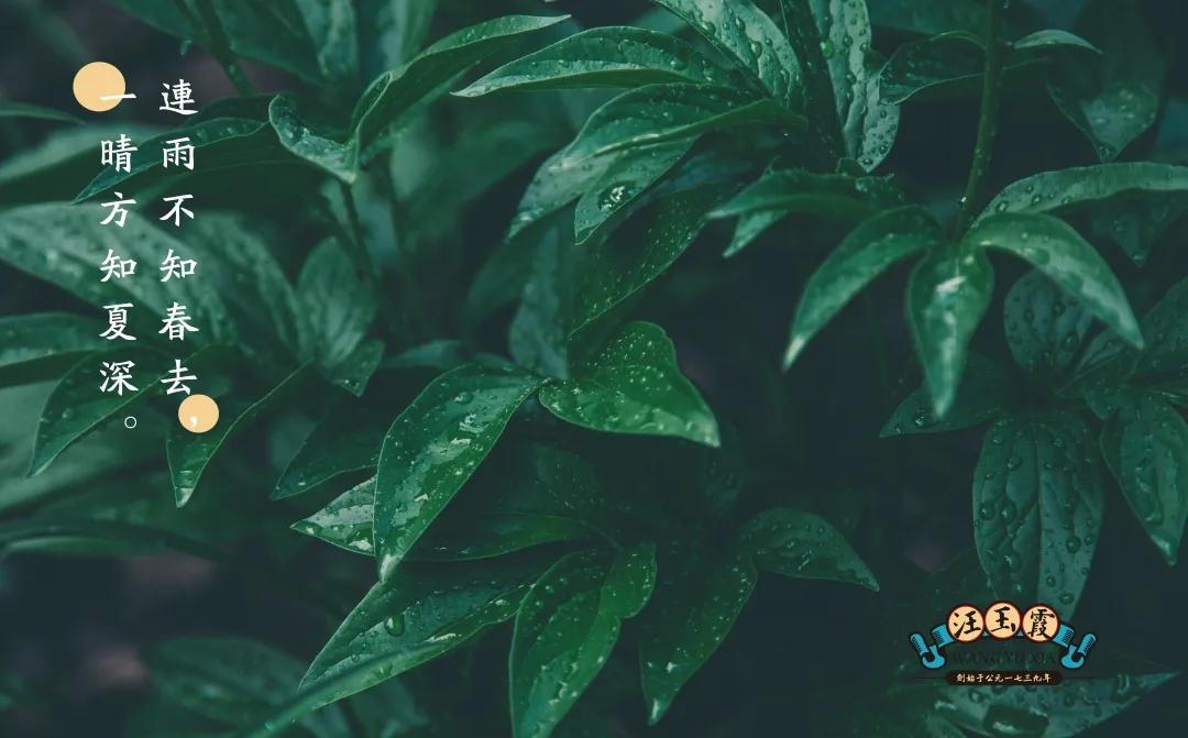 武汉的夏日记忆,非常适合夏天吃的冰爽流心绿豆糕