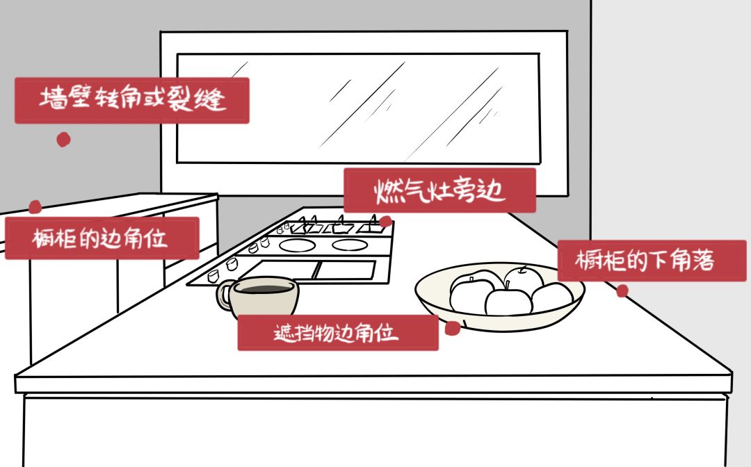 灭蟑螂三年怎么消灭最彻底,灭蟑螂最靠谱的是这2招
