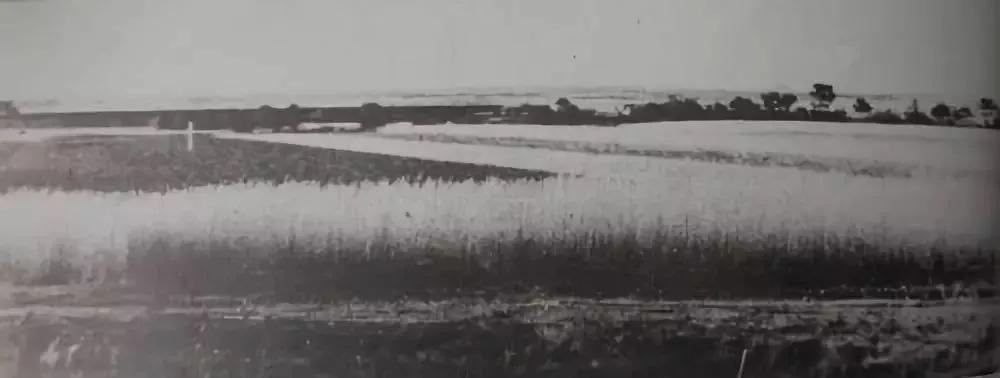 国产三大轴厂,轴承三大厂