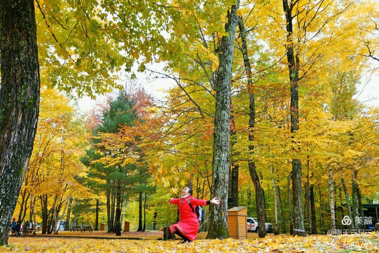 漫步魁北克体验不一样的北美风情,北美枫情蒙特利尔