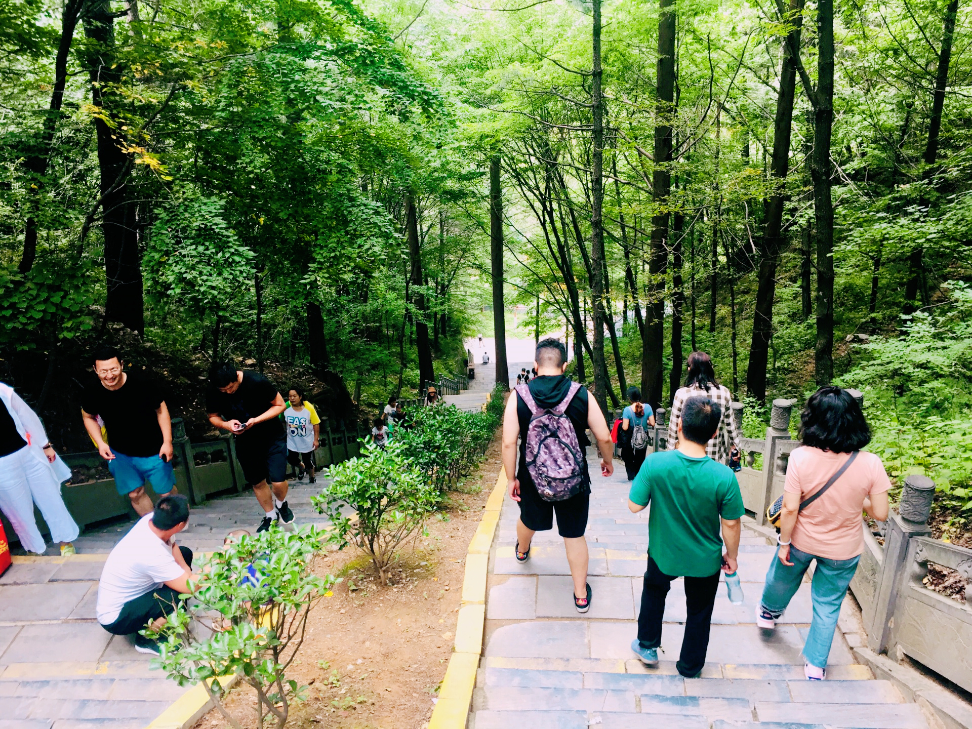 洛阳曾经是全国第四大城市,洛阳现在为何在飞速发展