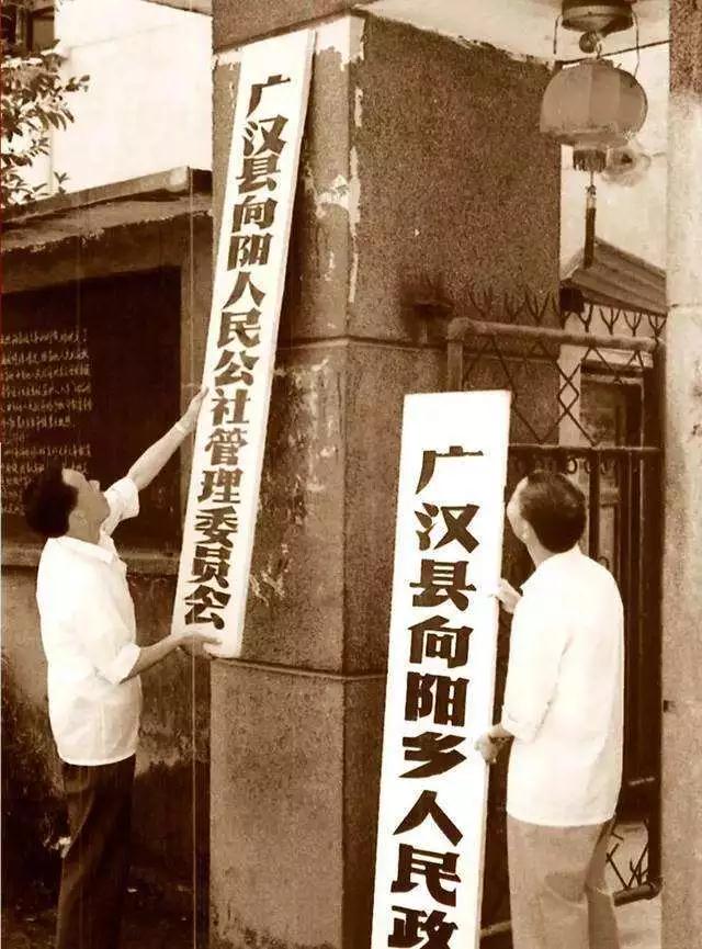 999暖心广告,999感冒灵走心广告年度最佳