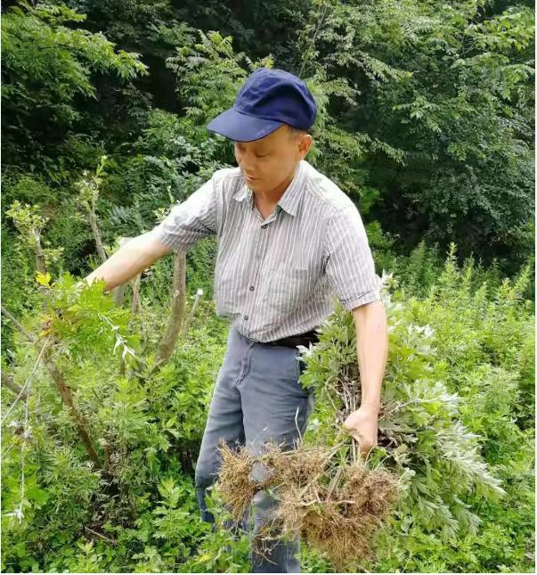 考研成功率高的985,考研成功率高的985大学