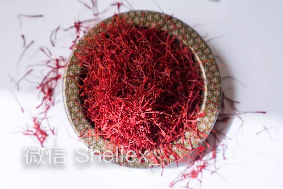 环球旅行我学会了什么,环球旅行一年