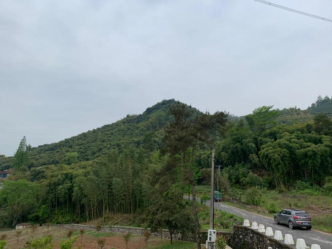 发展农业,土地*款贷**怎么贷?能贷多少?