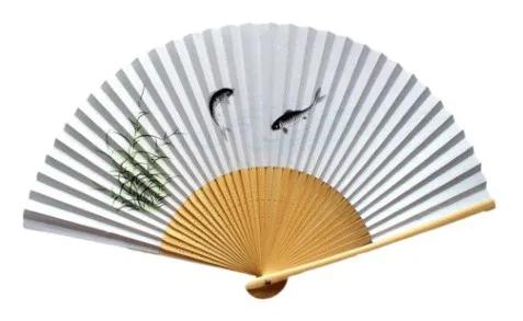 昆山足球场改造,昆山为什么要建造专业足球场