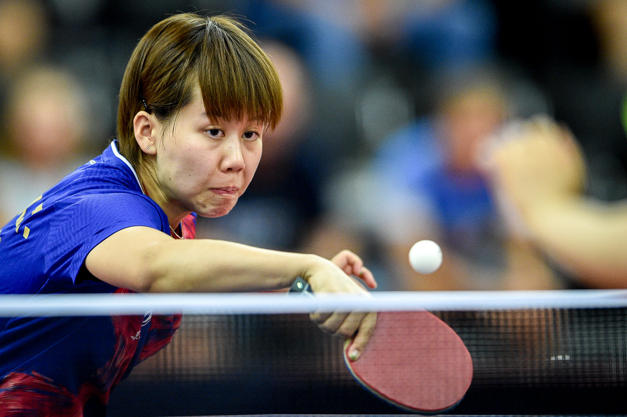 德国公开赛最新赛程,德国公开赛签位