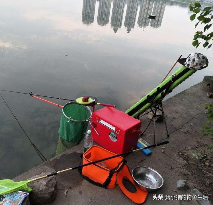 “酷暑三伏钓早晚”，今天来聊聊夜钓