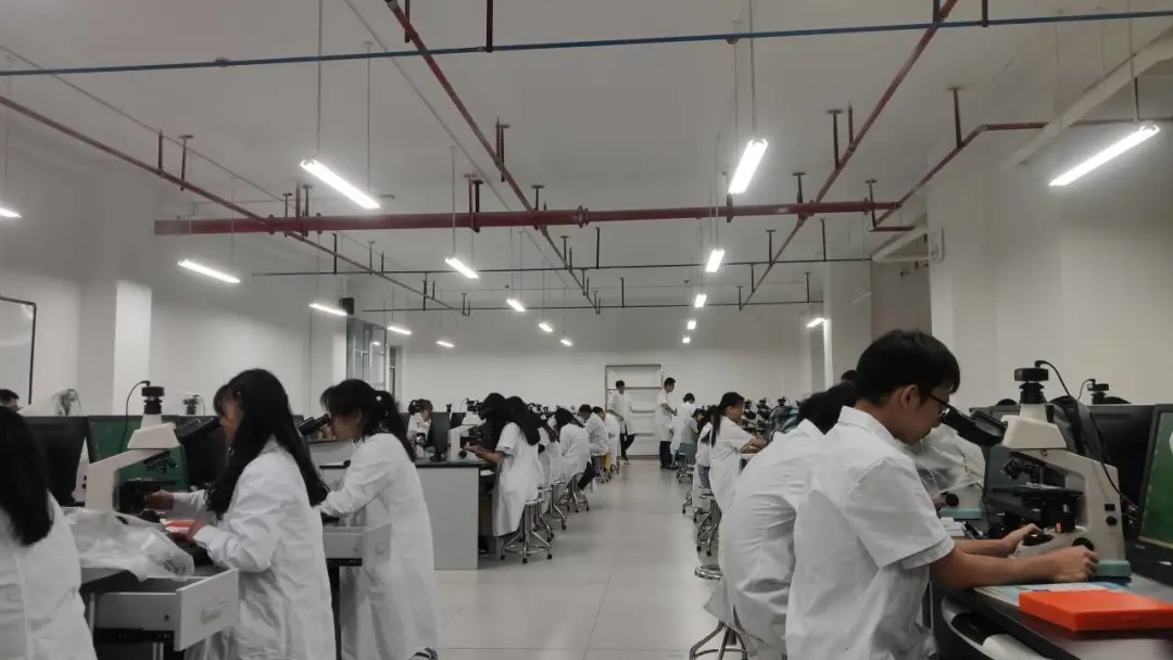 医学生学习打卡做题,医学生学习成果检验视频