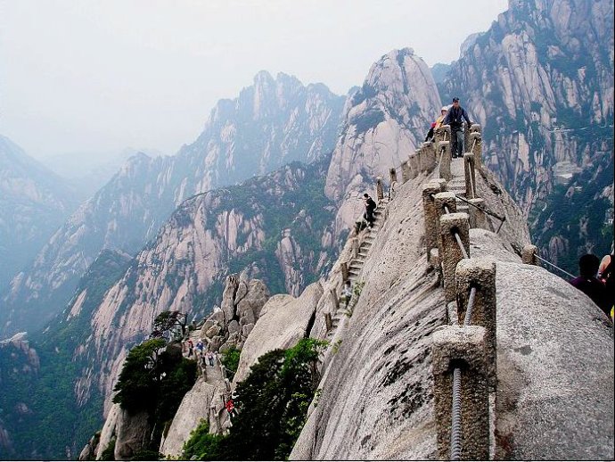 如何鉴别玉米转基因种子,转基因玉米的鉴别方法12粒