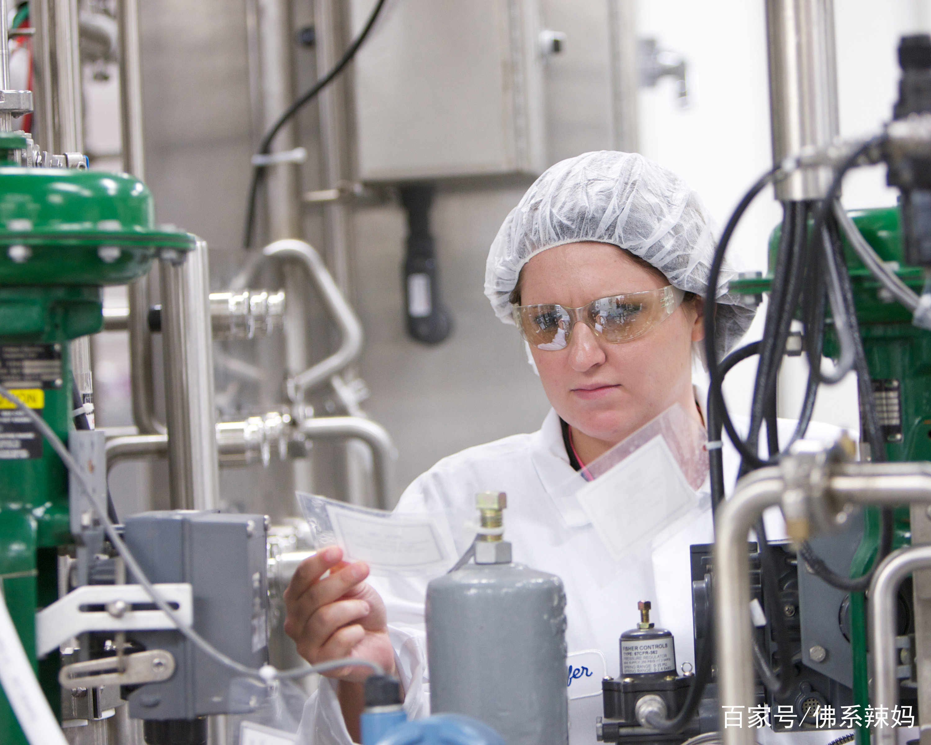 奶粉结块了有虫还能喝吗,为什么奶粉中有密密麻麻的小虫子