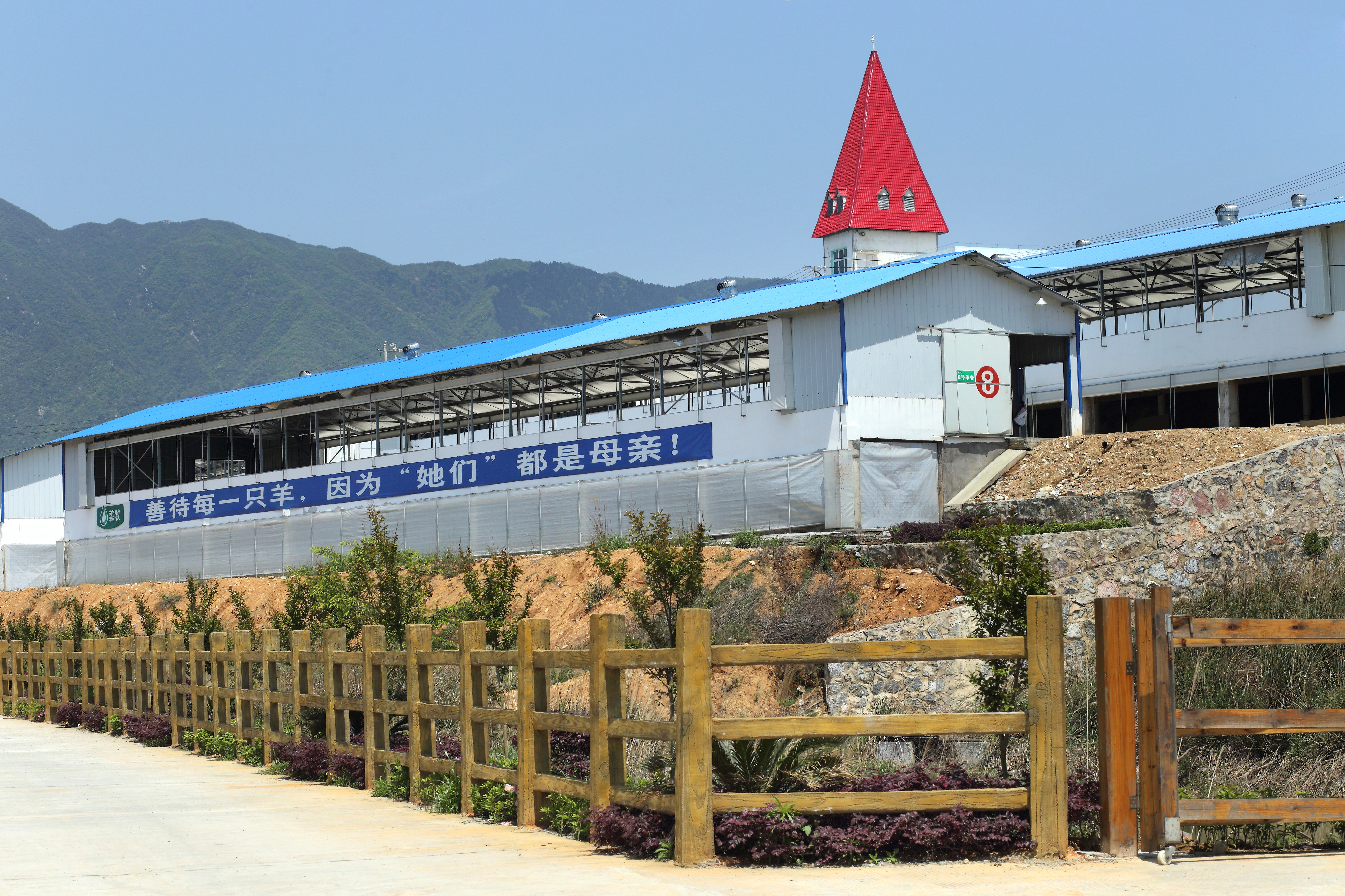 如何选羊奶或羊奶粉,羊奶粉和羊奶有什么区别哪个最好