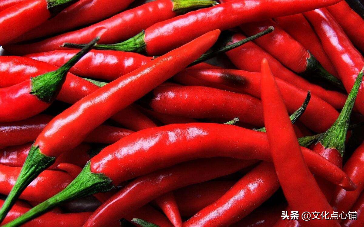 感悟阅尽人生百态古诗词,重走古诗路品百味人生