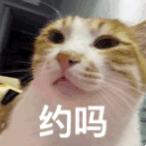 爱我，就给我舔屁股吧