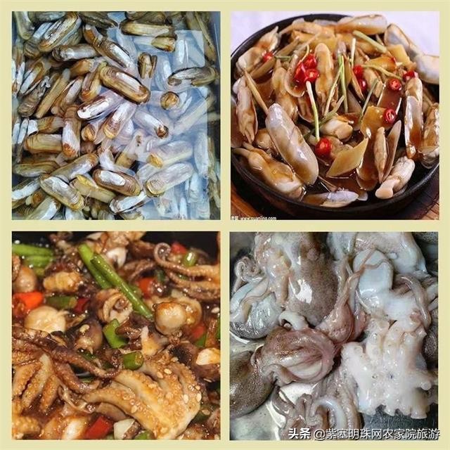 夏天去赶海抓螃蟹小龙虾,东戴河亿方客宾馆