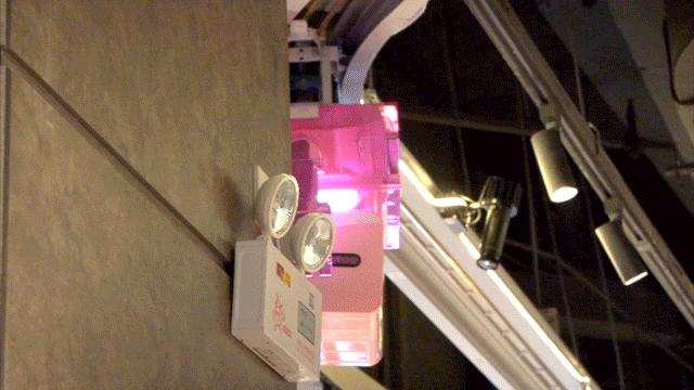 鹏瑞利zara,鹏瑞利完整视频