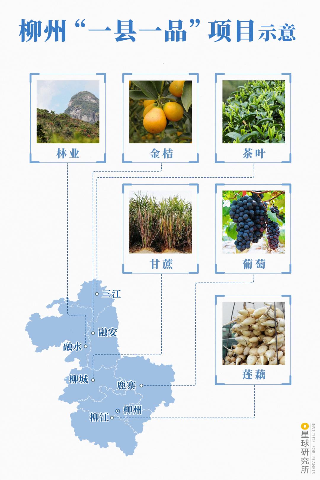 广西柳州除了螺蛳粉还有什么特产,广西柳州螺蛳粉视频