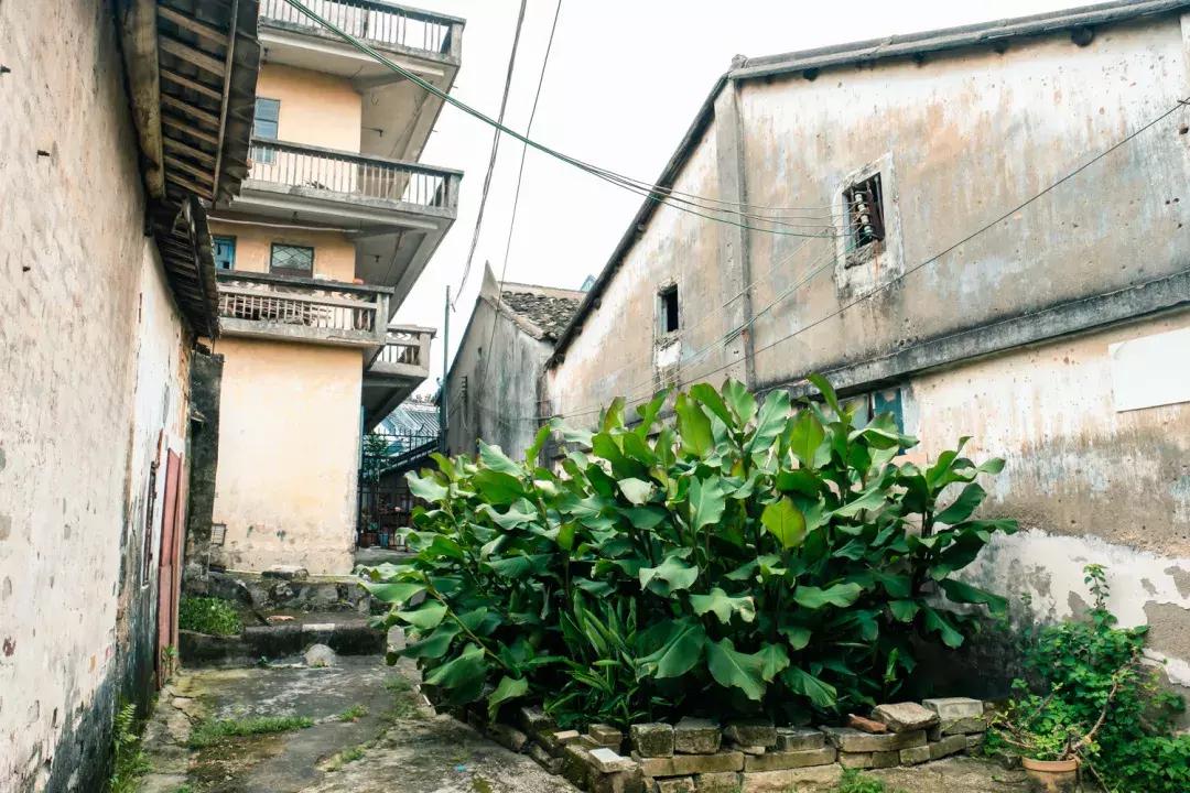 观澜有没有价值,观澜发展得起来吗