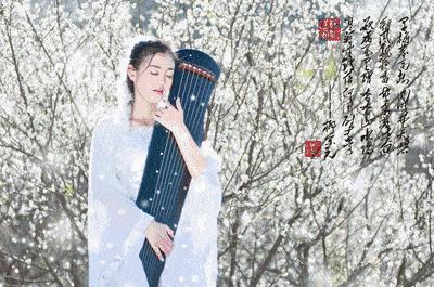 一任群芳妒,一任群芳妒上一句是什么