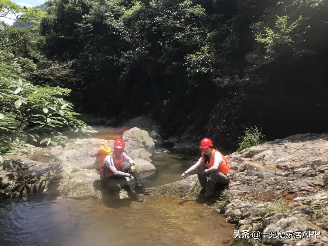 客餐厅一体全屋设计,客餐厅一体设计方便了什么