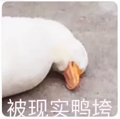 东方有一片海北洋水师,东方有一片海纯音乐