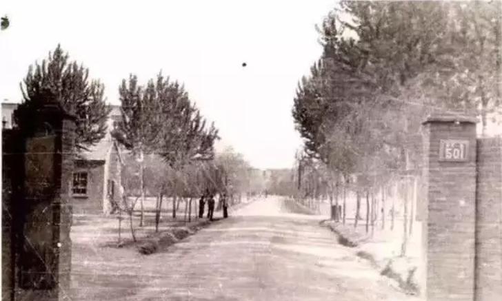 山东航空大学是滨州学院吗,70后眼中的00后