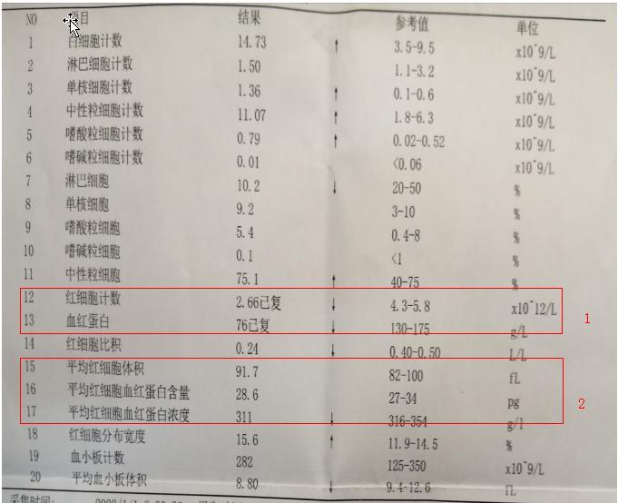 不会看血常规化验单一张图让你懂,陈医生可以看报告单么