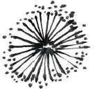 国画梅花上的雪画法步骤教程视频,零基础国画入门画梅花教程