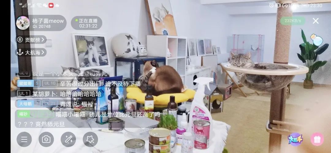 2023家居市场销售规模,家居万亿级蓝海市场