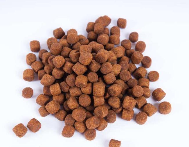 狗狗喂食狗粮的正确方法,过渡期怎么让狗狗吃干狗粮