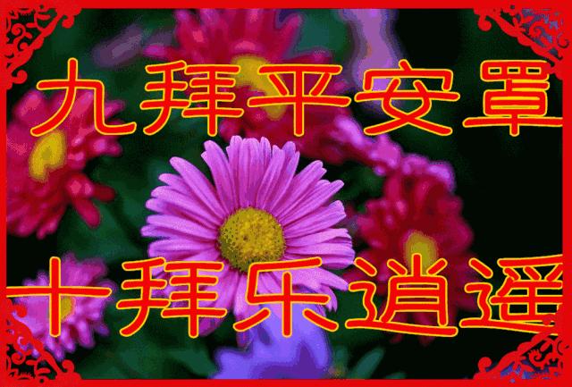 正月初五迎各路财神到,正月初五喜迎各路财神到我家