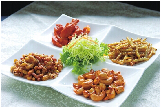 明星吃虫子大全,明星吃虫子事件