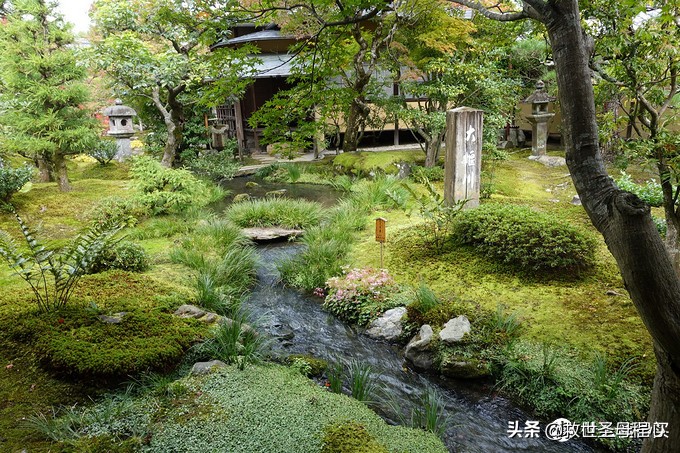 日本自由行出境旅游,去日本旅游要流水账单