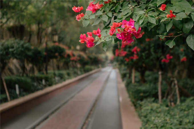 厦门旅游攻略两天两夜详细攻略,厦门旅游攻略一日游详细攻略