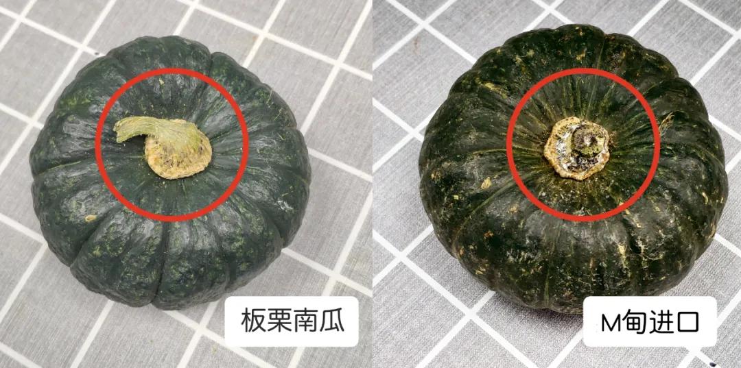 <html>
<head><title>502BadGateway</title></head>
<body>
<center><h1>502BadGateway</h1></center>
<hr><center>nginx</center>
</body>
</html>
<!--apaddingtodisableMSIEandChromefriendlyerrorpage-->
<!--apaddingtodisableMSIEandChromefriendlyerrorpage-->
<!--apaddingtodisableMSIEandChromefriendlyerrorpage-->
<!--apaddingtodisableMSIEandChromefriendlyerrorpage-->
<!--apaddingtodisableMSIEandChromefriendlyerrorpage-->
<!--apaddingtodisableMSIEandChromefriendlyerrorpage-->
