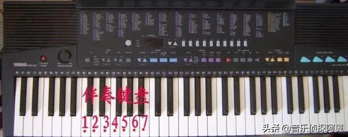 初学者学弹钢琴电子琴,钢琴入门电子琴怎么弹得好一点