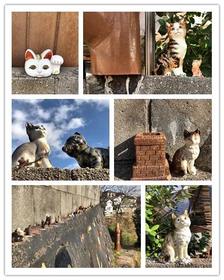 日本买口罩的经历,现在去日本买口罩靠谱吗