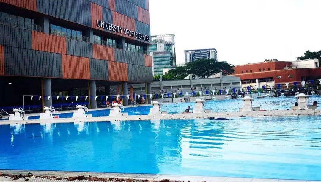 好玩便宜的磁铁,又好玩又便宜的磁铁