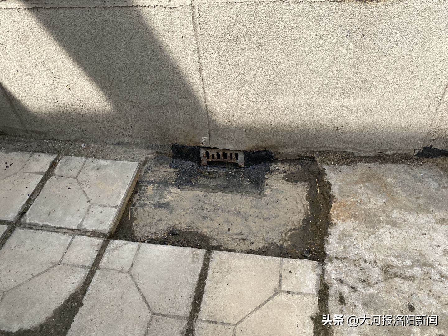 楼上漏水天花板墙纸发霉,顶楼屋内墙体发霉