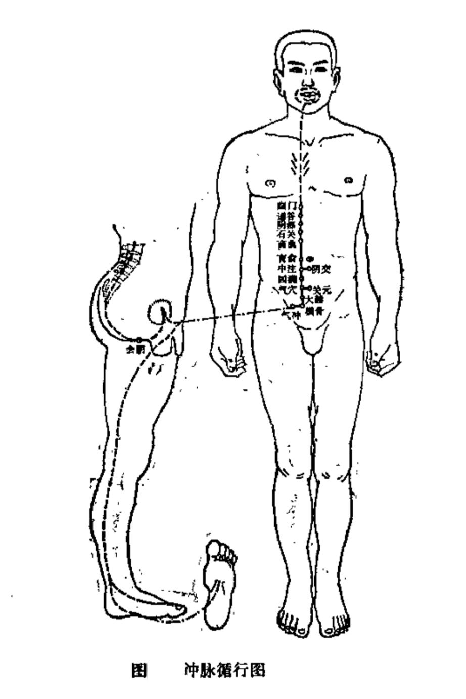 奇经八脉与十二经脉循行动态图,奇经八脉中任督二脉的循行分布
