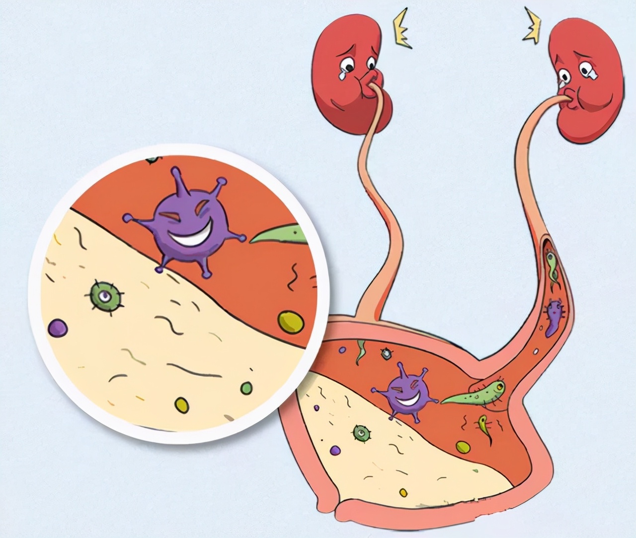 中药排肾结石真的有效果吗,肾结石中药排石药方大全