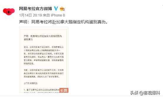 假大鹅是怎么回事,假货大鹅事件