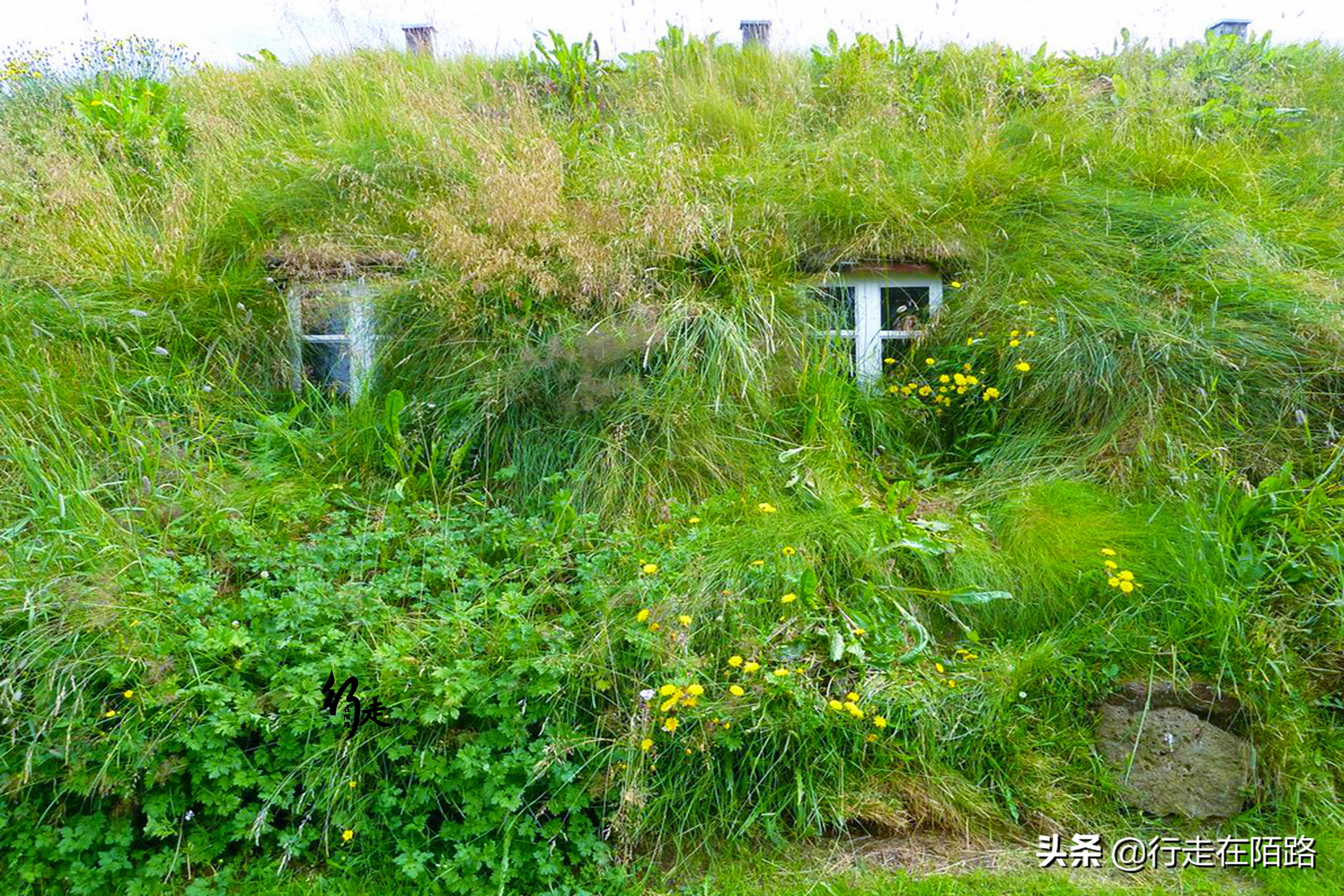 最有钱国家：人均可分得130万养老金，不住高楼酷爱草皮屋