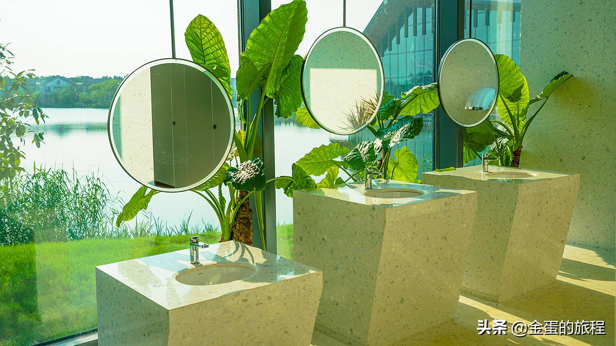 不出上海有哪些地方旅游,不出上海玩的景点排行榜