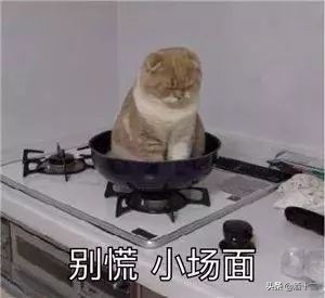 十九岁第一次喝酒,19岁第一次去酒吧要注意什么