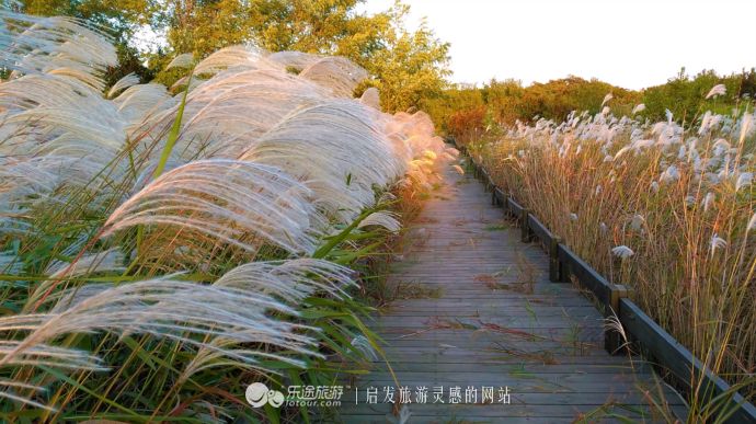 东土大唐取经路,东土大唐一条街